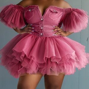 Elegant Pink Off-Shoulder Tulle Dress